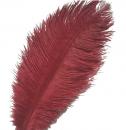 Ostrich feathers - 25-30 cm - price by one