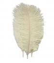 Ostrich feathers - 25-30 cm - price by one