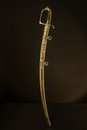Sabre of Napoleon in last movie of Ridley Scott. Chasseur a cheval, Imperial guard. Sabre for senior officier. Perfect condition