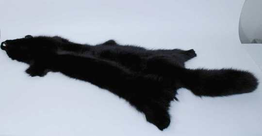 Foxs' furs, grey and black, 120 cm long - copie
