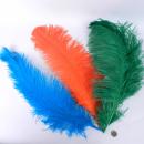 Nice and big ostrich feathers, 40 to 60 cm, incredible price