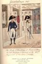Fusilier du 66e régiment d'infanterie de Ligne en Guadeloupe. 1802-1808/1812. 