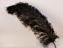Long feathers for generals and field marshalls, indicated price is for one feather.
