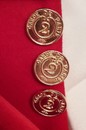 Garde de Paris 2nd regiment officer buttons