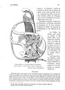 La Giberne Intégrale de la revue de 1899 à 1914 (photocopies).