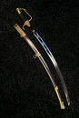 Empire Sabre for French general, vendémiaire an XII style