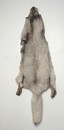 Foxs' furs, light grey, minimum 130 cm.