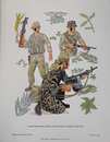 401 plates: Military uniforms of America (337) +Mackinac...(13)+ The american soldier (27)+ Riling and Lentz (11)+ others (13)