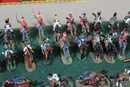  103 small figurines in good condition + 14 injuried. Sold with green plate, but without red and gold one