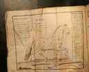 Elemens de cavalerie concernant la connoissance du cheval....1768