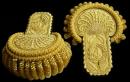 Palms on greek shield, laurel and oak on body, silver or gold Empire epaulettes: type I c- The pair