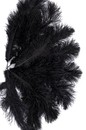 Ostrich black feathers 50-60 cm -Price per unit
