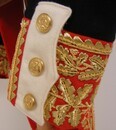 Uniform of Dorsenne. Price including epaulettes, 2 breast stars, and aiguillettes