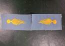 Pair of collar badges featuring an elongated, asymmetrical grenade. Only one set on stock. Yellow/sky blue