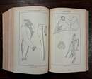Malibran: guide à l'usage des artistes et des costumiers. Original 1904 edition, two volumes bound together in a single binding with a leather spine.
