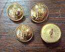 BELGIUM. Corps of Engineers buttons, new old stock, available in 2 diameters. Manufactured by Éts David.