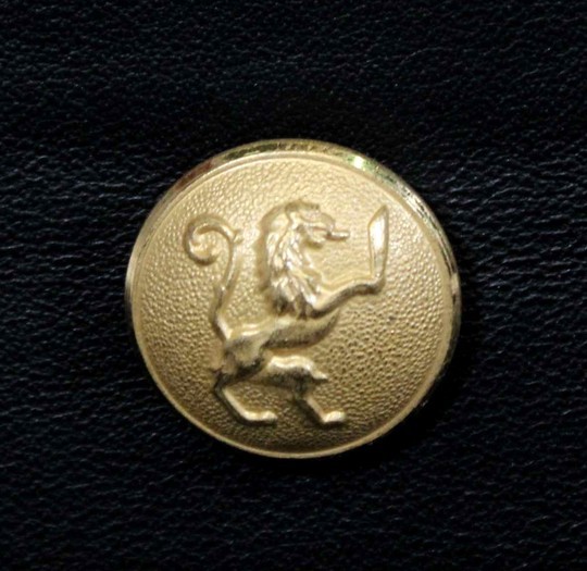 Gilded button, standing lion holding a sabre,  diam21 mm