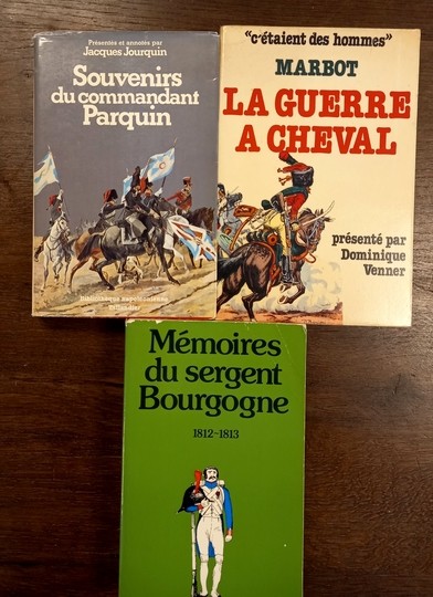 Meilleures mémoires de l'Empire: Marbot, la guerre à cheval. Parquin et Sergent Bourgogne