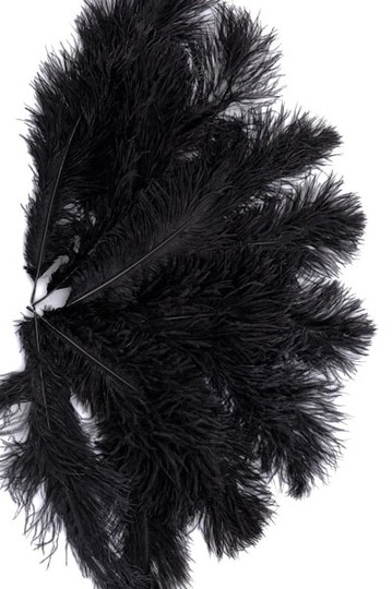 Ostrich black feathers 50-60 cm -Price per unit