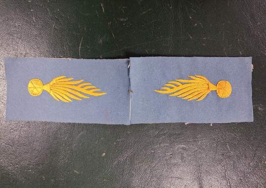 Pair of collar badges featuring an elongated, asymmetrical grenade. Only one set on stock. Yellow/sky blue