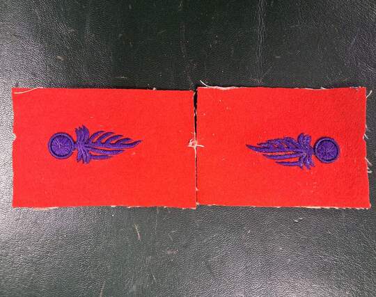 Pair of collar badges featuring an elongated, asymmetrical grenade. Only one set on stock. Violet/red