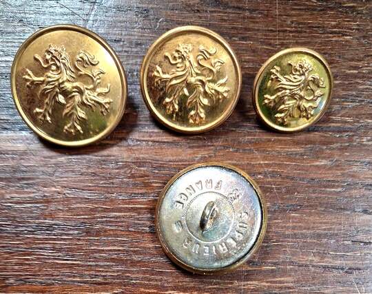 WWI. BELGIUM. Gilt lion buttons, new old stock, available in 3 diameters. Manufactured by Éts David.